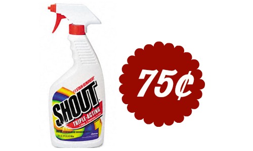 shout stain remover