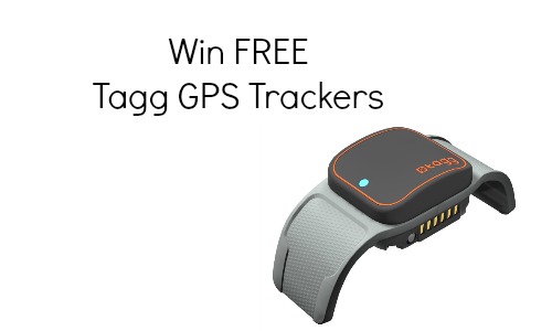 tagg gps trackers