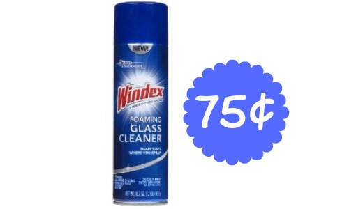 windex cleaner