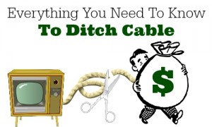 ditch cable 2