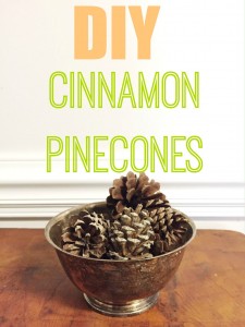 Why spend money on scented pinecones that are treated with chemicals  Try this recipe for DIY cinnamon pinecones.