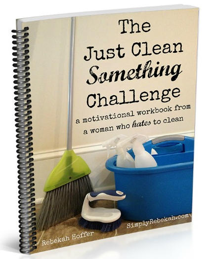 cleaning book