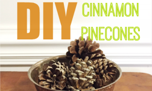 diy cinnamon pine cones
