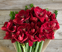 Screen Shot 2015-12-22 at 1.06.43 PM