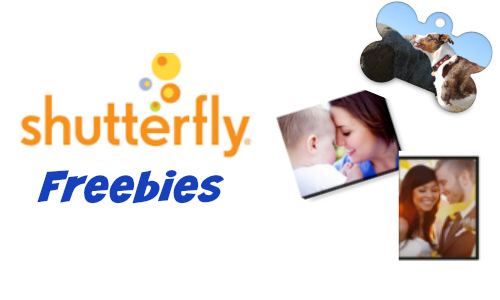 Shutterfly Freebies: 16 x 20 Print or Pet Tag