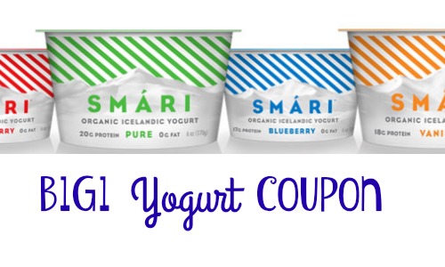smari organic icelandic yogurt