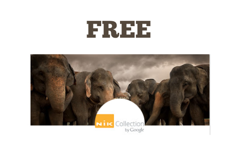 Free Google Photo Editing Software