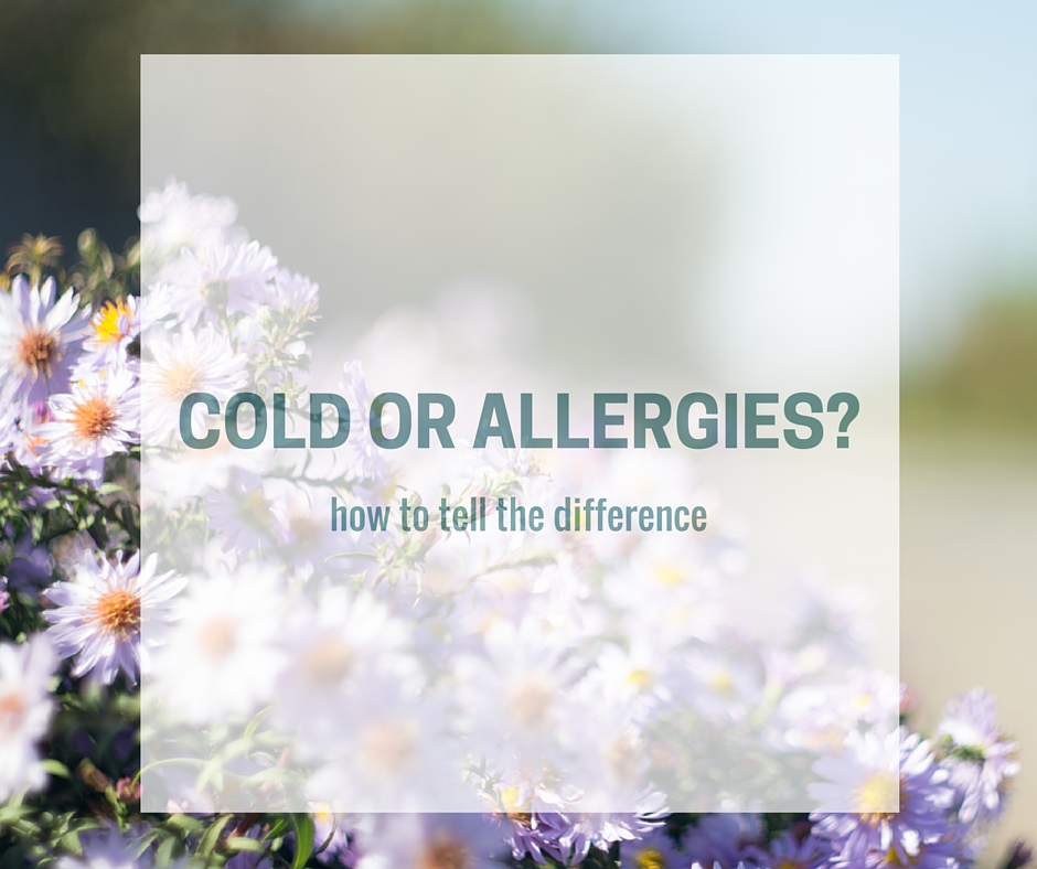 COLD OR ALLERGIES-