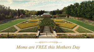 biltmore free for mothers
