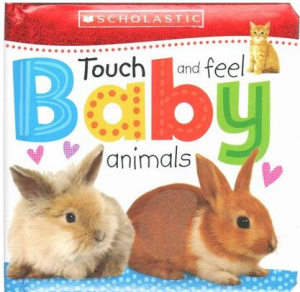 touch and feel book