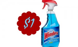 windex coupon