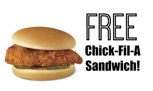 free chicken sandwich