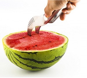 melon slicer