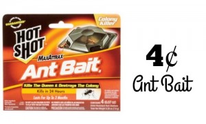 ant bait