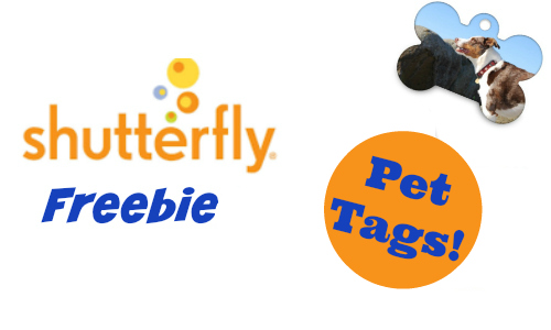 dog tags shutterfly