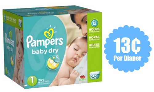 pampers economy pack baby dry