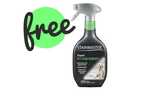 stainmaster coupon