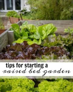 Growing your own vegetables can be super rewarding and possibly even save you some money. Get started with these tips for starting a raised bed garden!