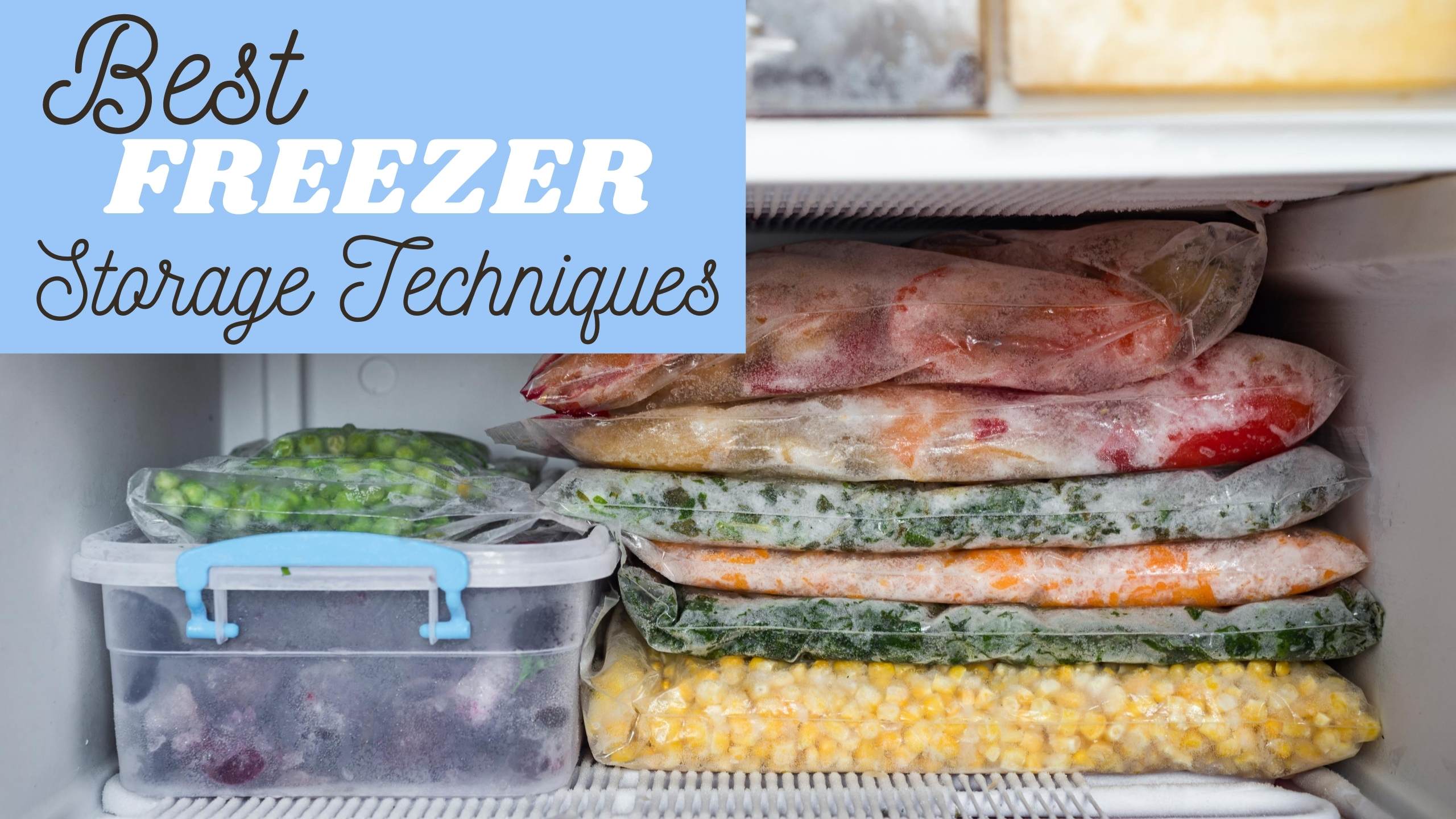 Freezer Storage 101: Freezing Techniques :: Southern Savers