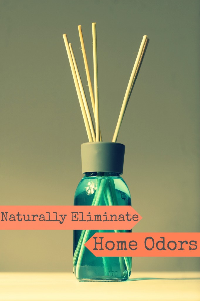 Organic Living Journey Natural Air Fresheners Southern Savers