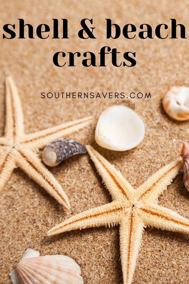 Beach Crafts for your Summer Shells