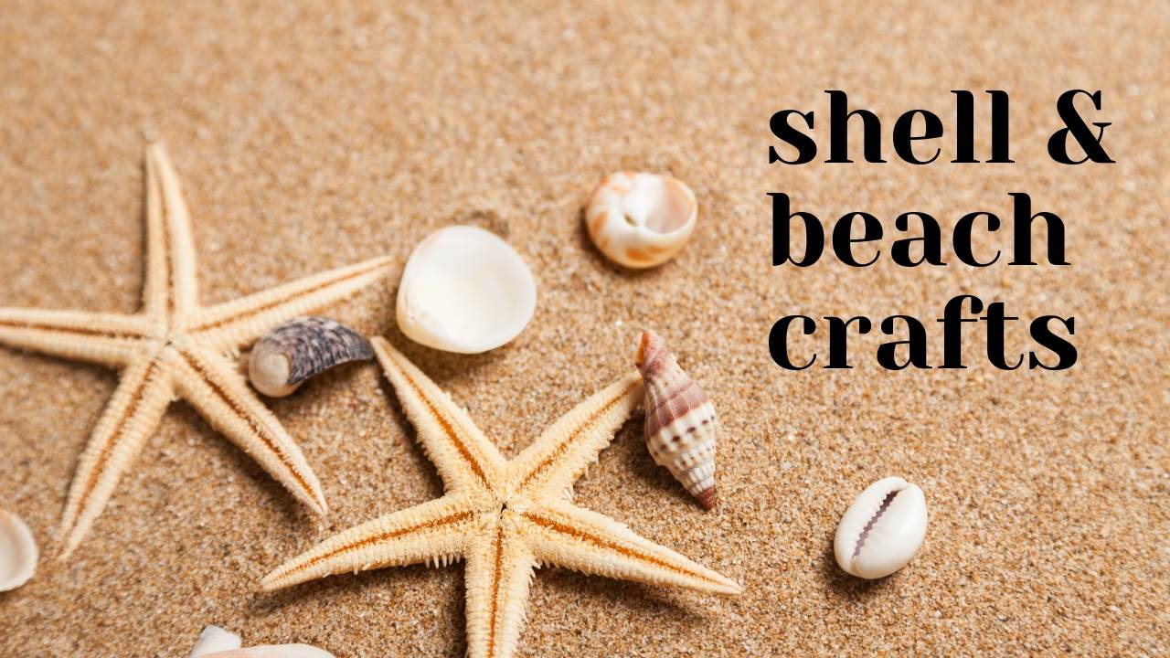 Pomeat Sea Shells 70PCS Various Sizes Natural Seashells Starfish for Beach Theme Party Wedding Home Fish Tank Decor Mixed Beach Seashells DIY Crafts 