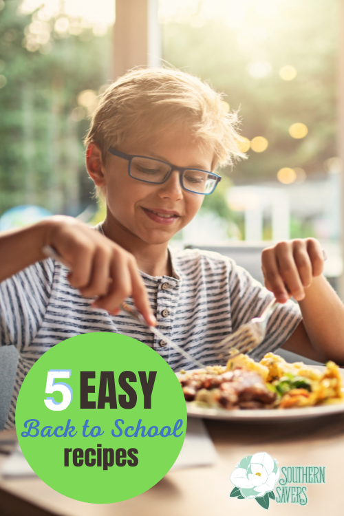 The school crunch can be hard, so try one of these 5 easy back to school recipes to make this season easier but delicious!