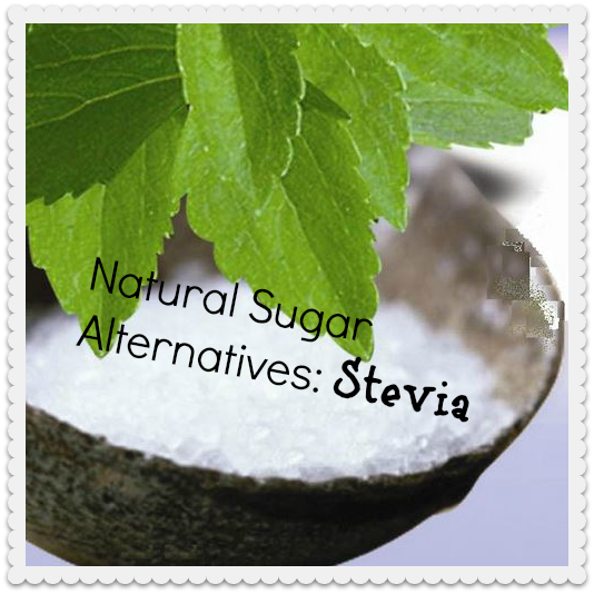 Organic Living Journey Natural Sugar Alternatives, Stevia Southern