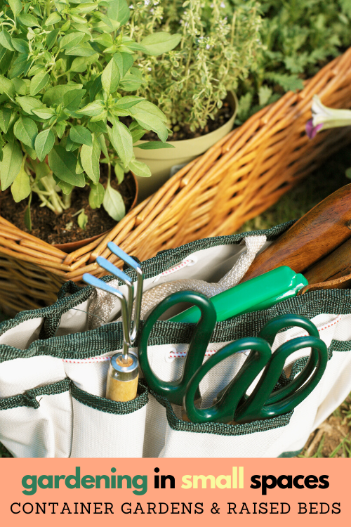 Even if you don't have a huge backyard, gardening in small spaces can still yield delicious produce that you can enjoy throughout the year!