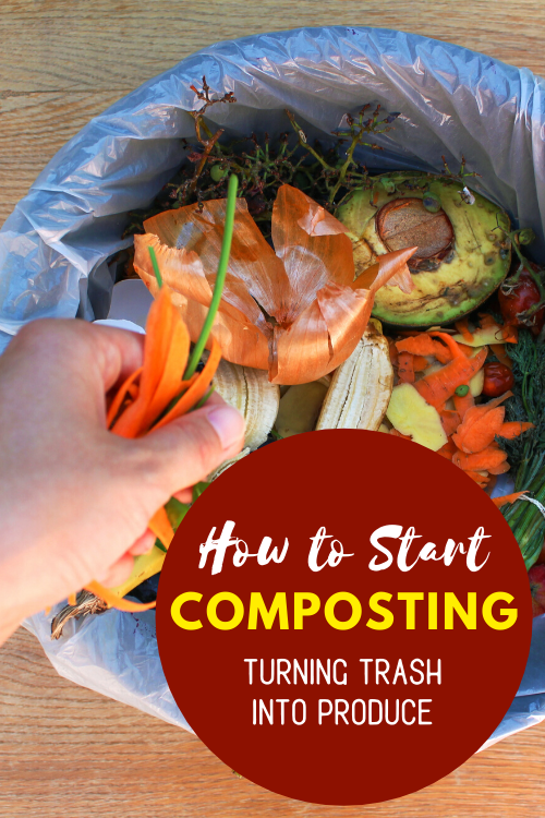 Did you know you can create your own compost for almost free? Here is everything you need to know about how to start composting and turn trash into produce!