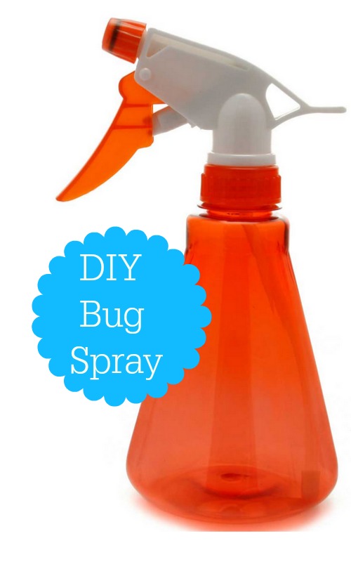 DIY Bug Sprays & Catchers Southern Savers