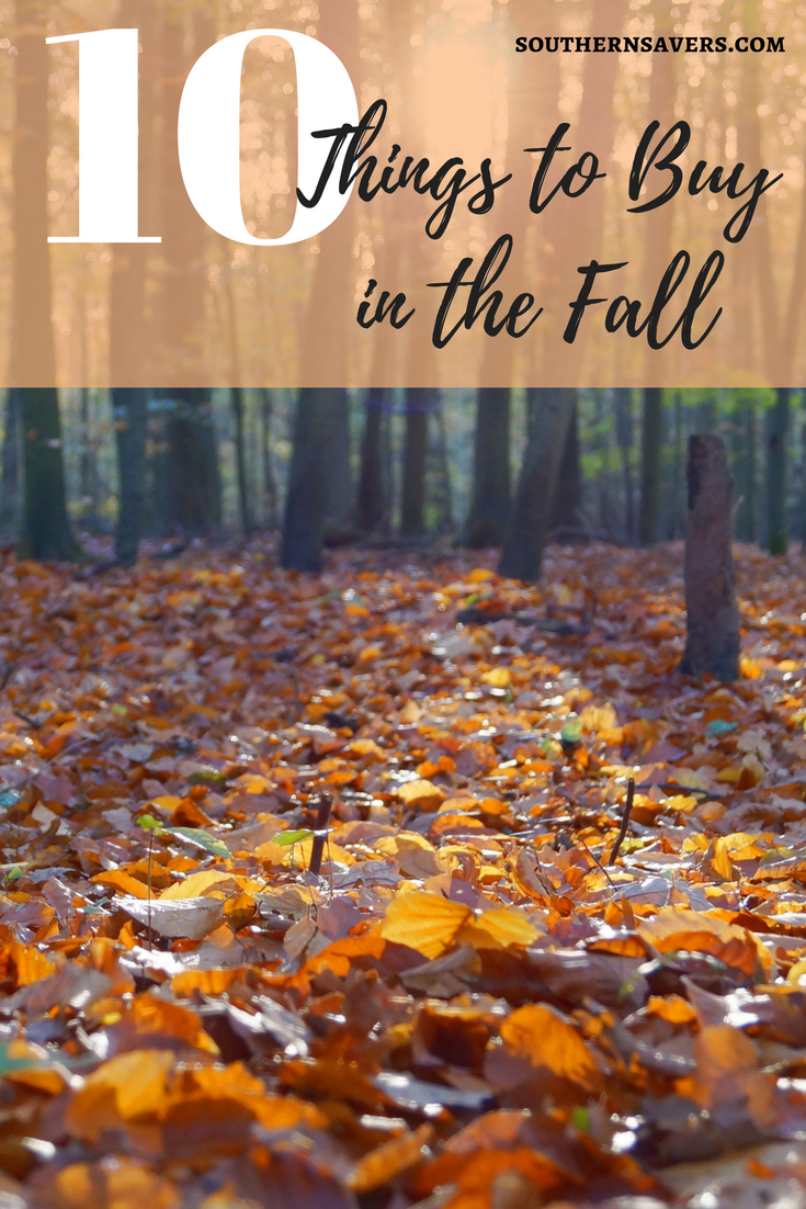 As a frugal girl, fall is my favorite season because of huge clearance deals we see. Here are my top ten things to buy in the fall.