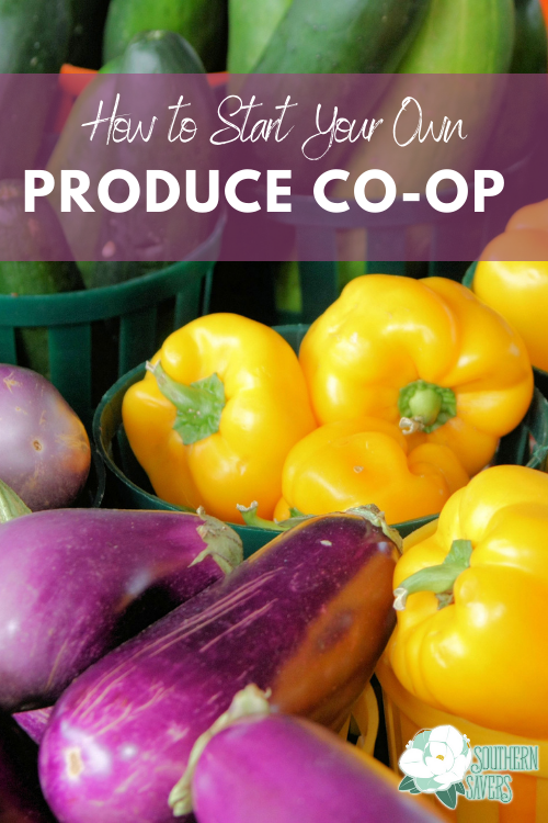 One huge way to save on produce is buying local, in-season and in bulk. A great way to do that... start your own produce co-op!