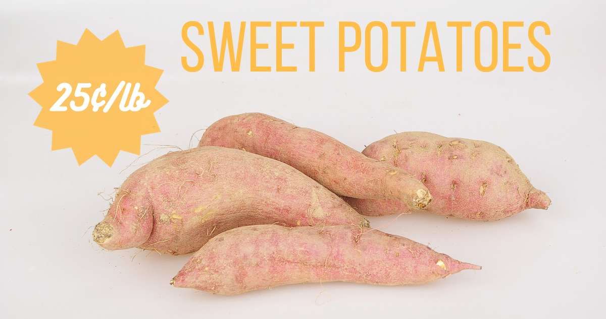 Pick Up Sweet Potatoes as Low as 25¢/lb. at Stores All Over Town Southern Savers