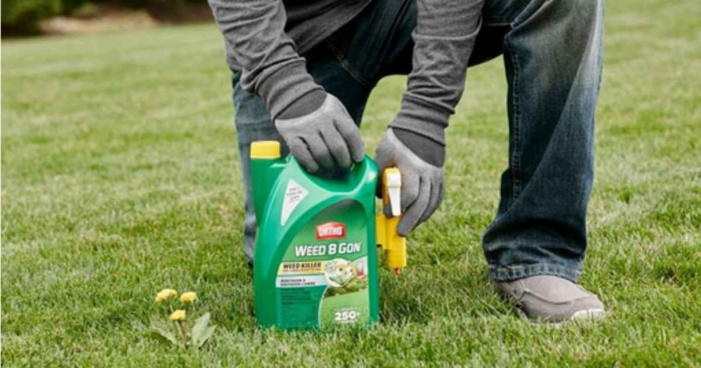 Home Depot Save on Ortho WeedBGon Southern Savers