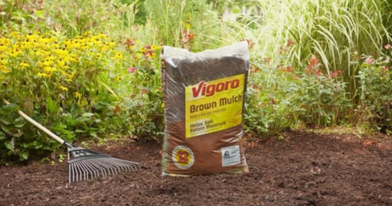 Home Depot Mulch Sale: 5 Bags for $10 - wide 6