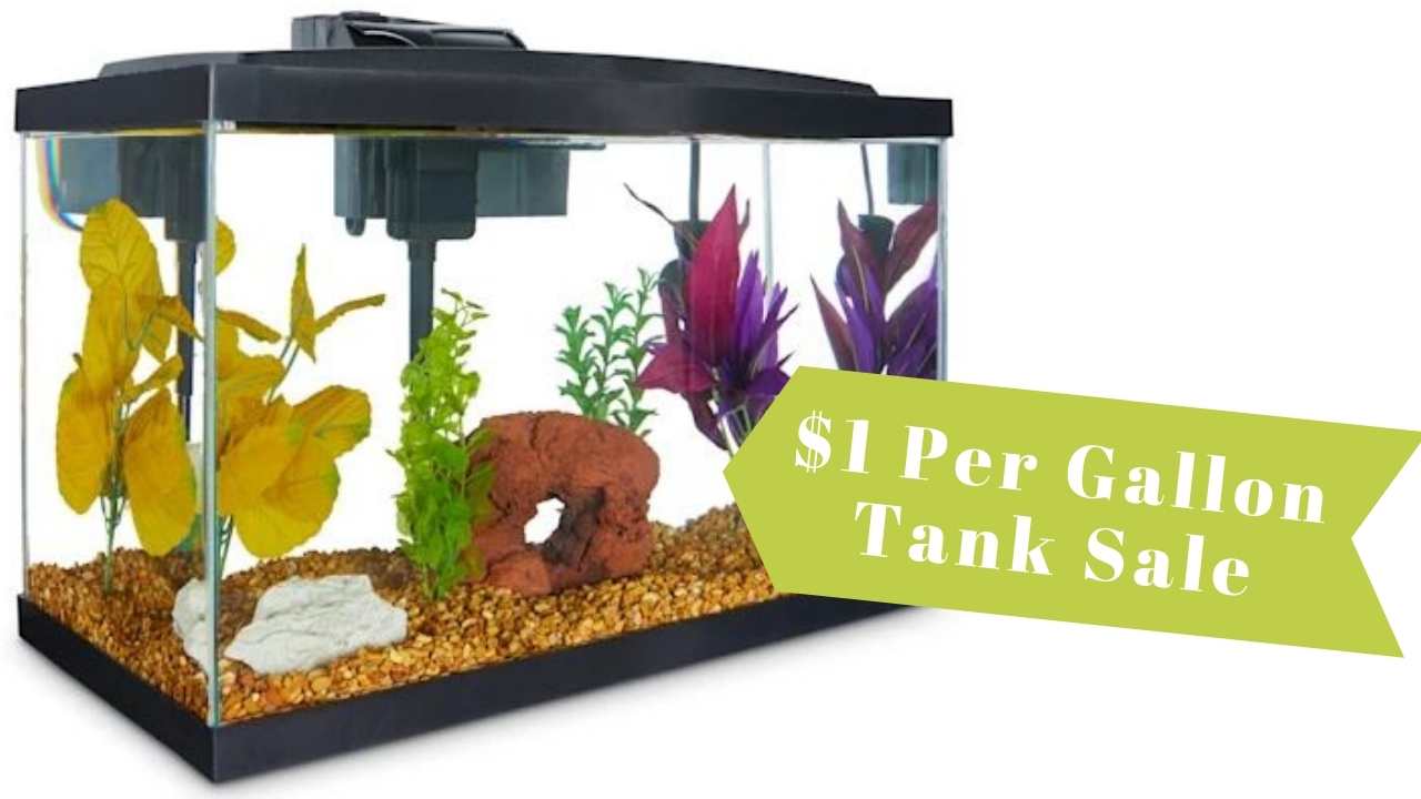 dollar per gallon tank sale