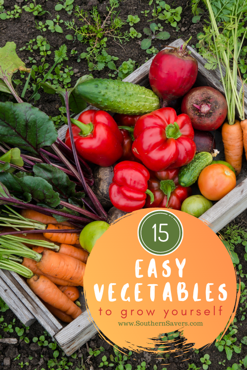 Cut some of the costs of fresh produce by starting a vegetable garden this spring! Here's a list of easy vegetables to grow yourself!