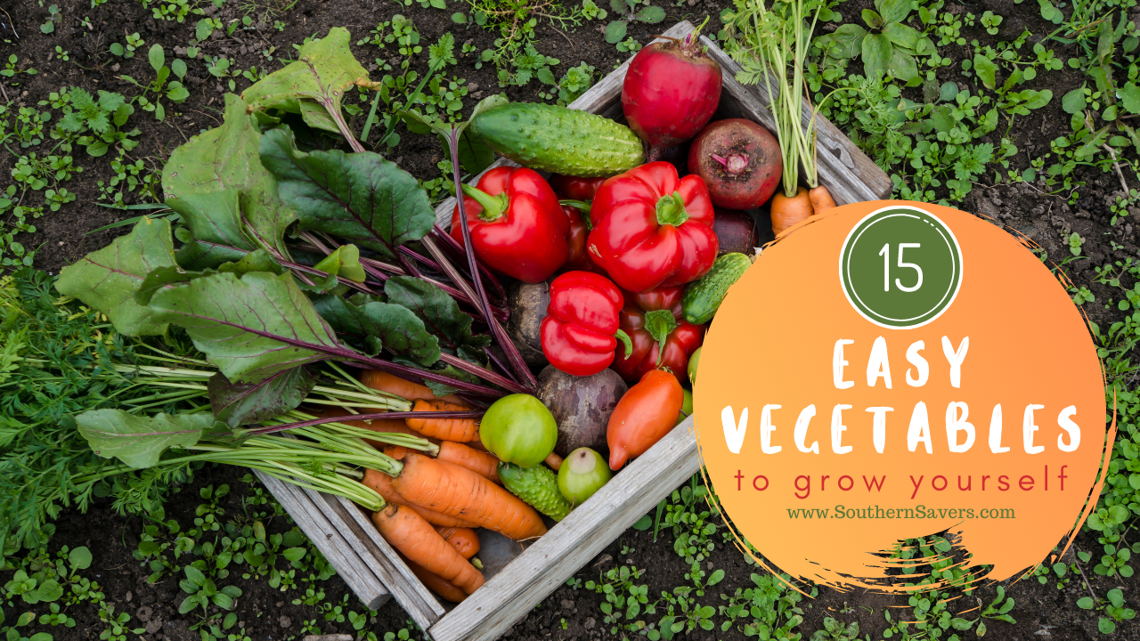 15 Easy Vegetables to Grow Yourself Southern Savers