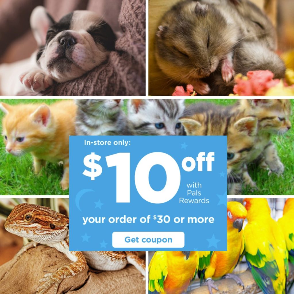 Petco 10 off 30 Purchase for Rewards Members Southern Savers
