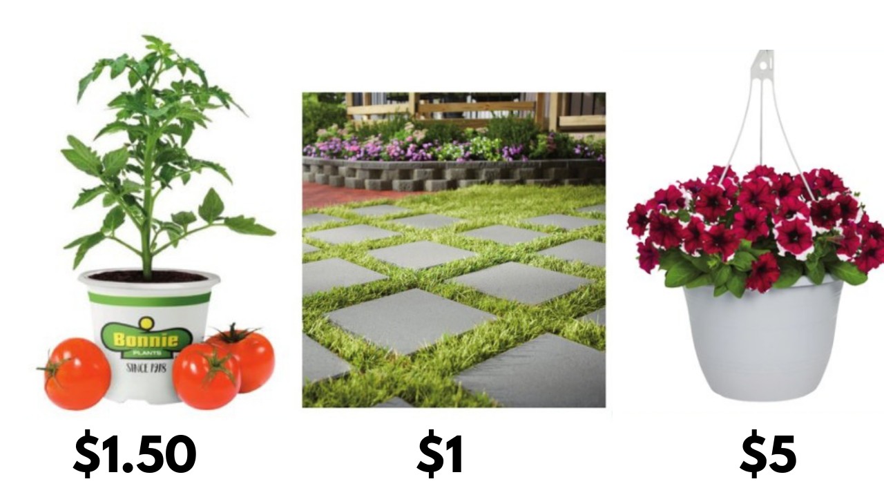 Vegetable Plants 1 50 Pavers For 1 Other Top Lowes Deals