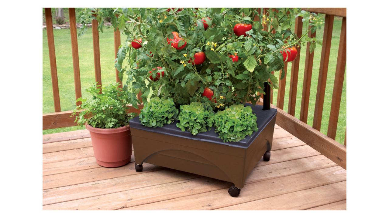 raised garden bed