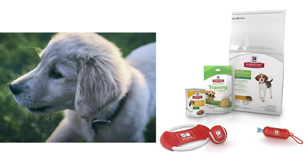Amazon 8.99 Science Diet Puppy Bundle Southern Savers