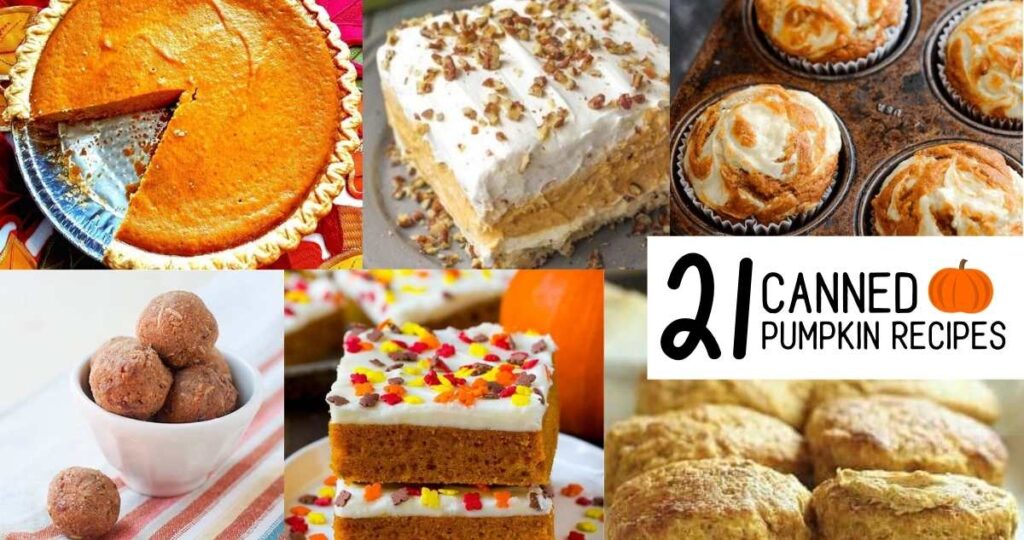 21 Pumpkin Recipes Using Canned Pumpkin Southern Savers