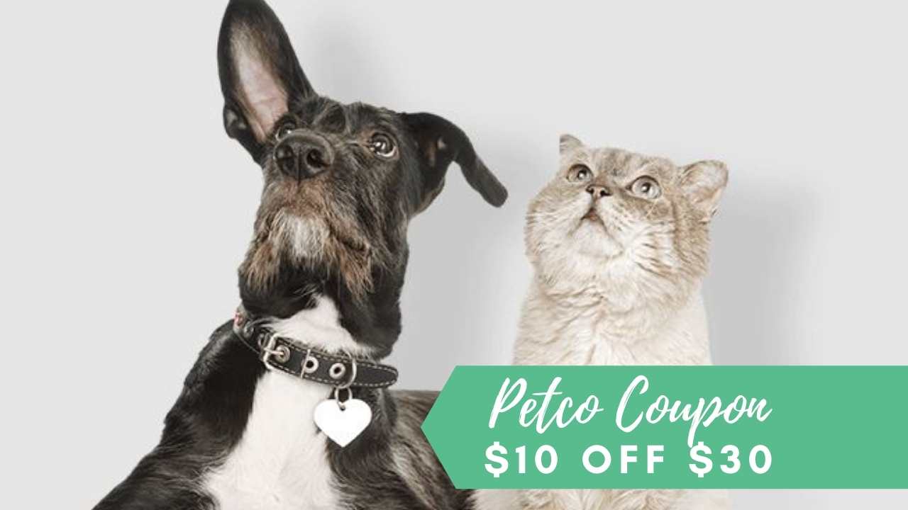 Petco Coupon Code 10 Off 30 Purchase Southern Savers