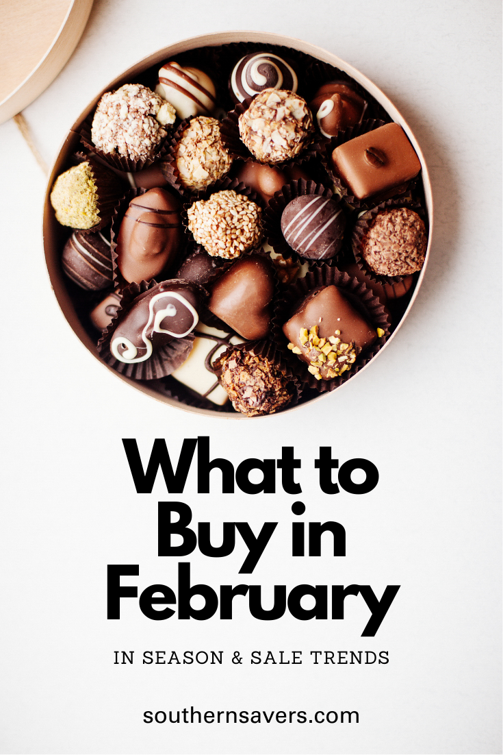 Each month sees different sale trends, and I've got the insider info to get you the best deal. Read this post to find out what to buy in February!