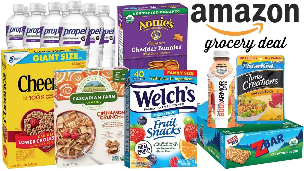 Amazon Grocery Deal 10 Off 50+ Purchase Southern Savers