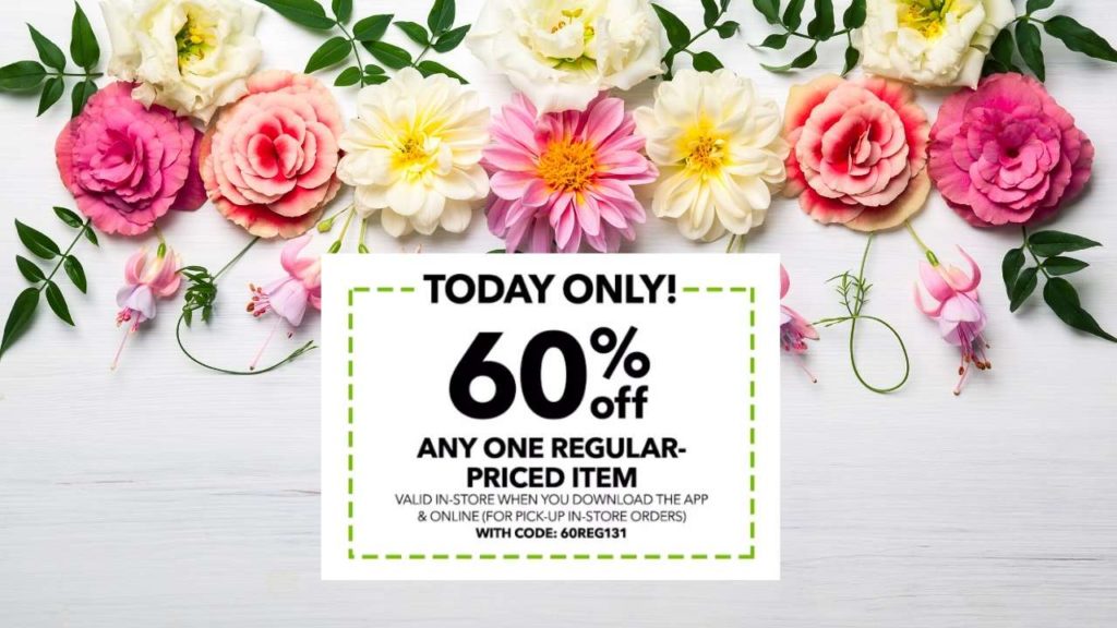 JoAnn Coupon 60 off Any One Item Southern Savers