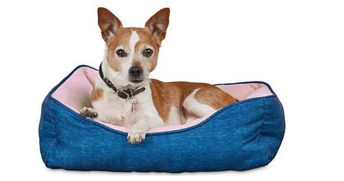 Petco Cat & Dog Beds Starting at 3.99 Southern Savers