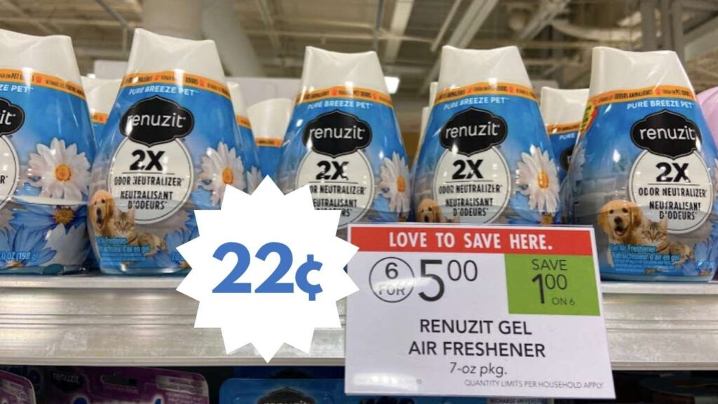 renuzit gel air freshener